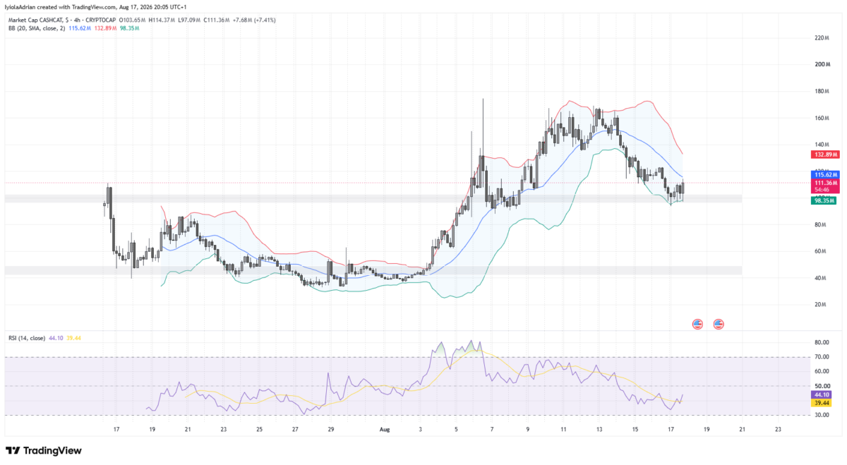 CASHCAT Drops 11% as Traders Watch for a Rebound 3 CASHCAT 4 hour price chart as of August 17 (2232 IST)