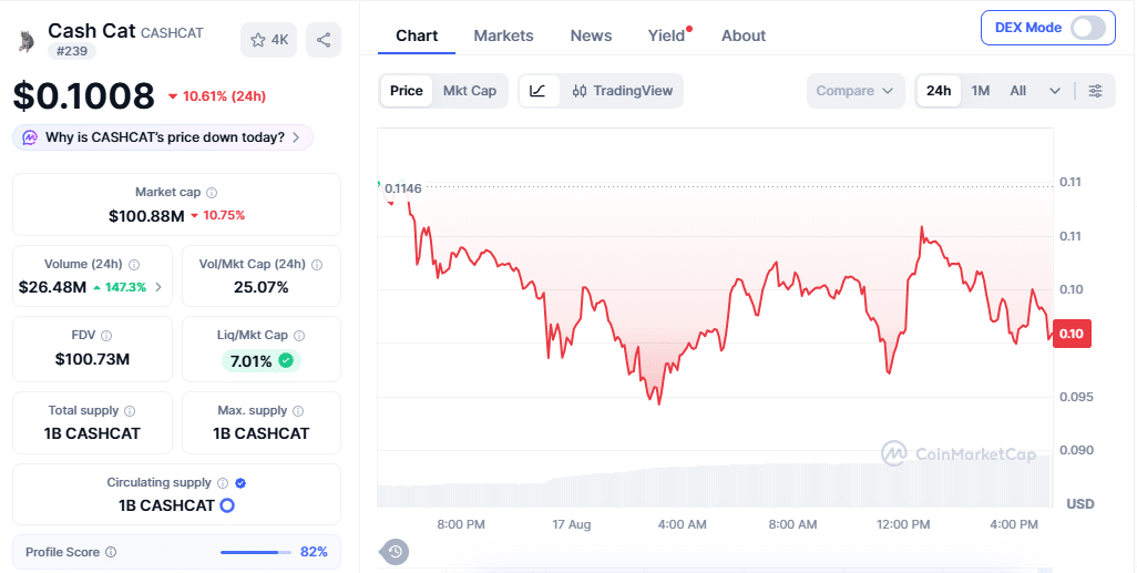 CASHCAT Drops 11% as Traders Watch for a Rebound